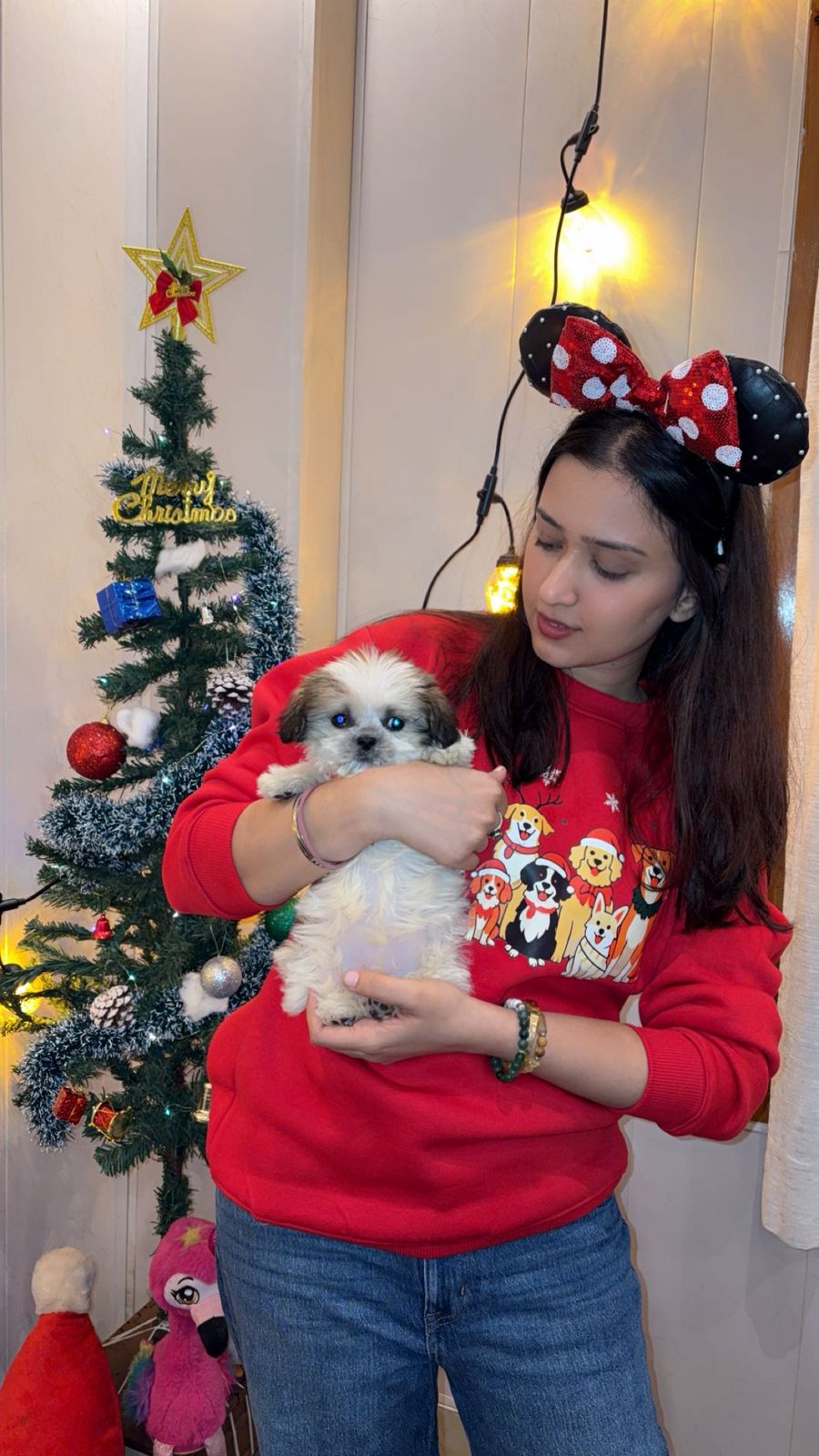 The Cozy Paws Sweashirt